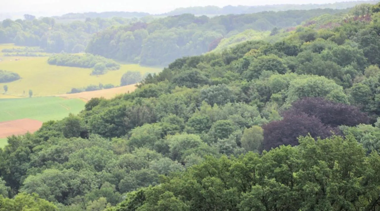 **  De La Ruine Bed & Breakfast Valkenburg aan de Geul Netherlands